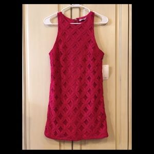 Tobi hot pink lace dress, size small, new with tag